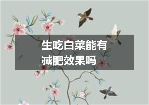生吃白菜能有减肥效果吗