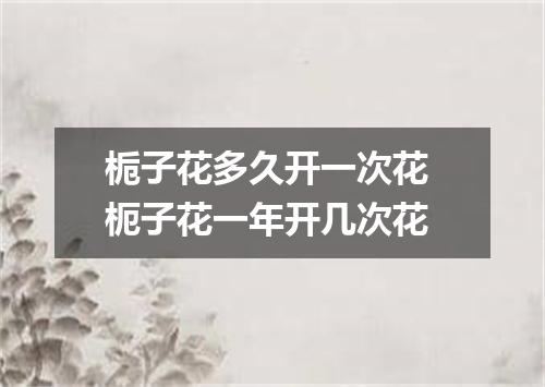 栀子花多久开一次花 枙子花一年开几次花