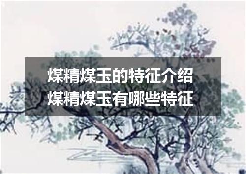 煤精煤玉的特征介绍 煤精煤玉有哪些特征