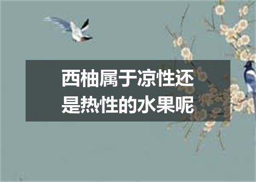 西柚属于凉性还是热性的水果呢
