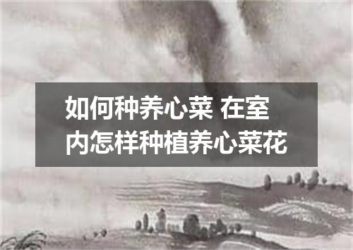 如何种养心菜 在室内怎样种植养心菜花