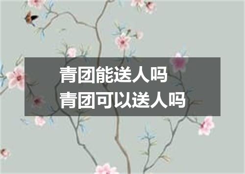 青团能送人吗 青团可以送人吗