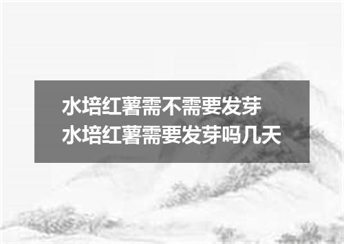 水培红薯需不需要发芽 水培红薯需要发芽吗几天
