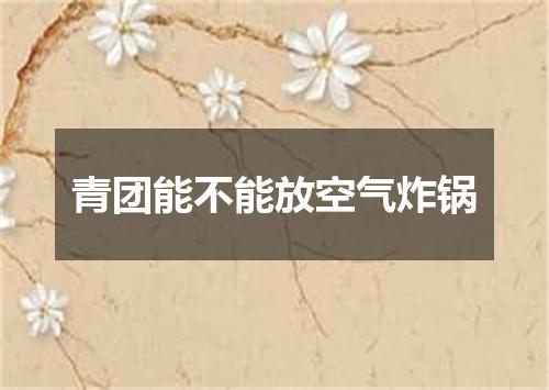 青团能不能放空气炸锅