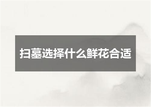 扫墓选择什么鲜花合适