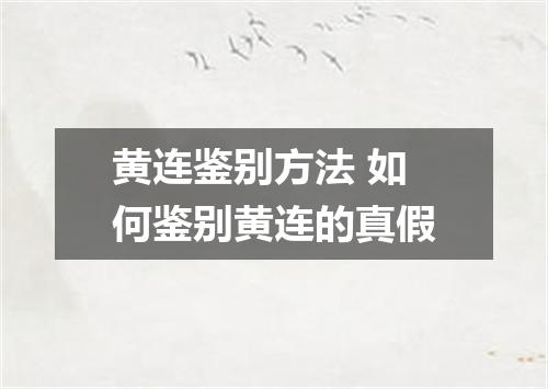 黄连鉴别方法 如何鉴别黄连的真假