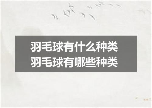 羽毛球有什么种类 羽毛球有哪些种类