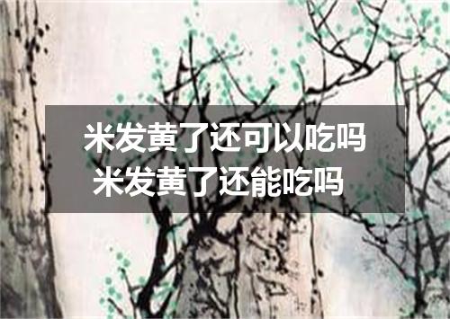 米发黄了还可以吃吗 米发黄了还能吃吗