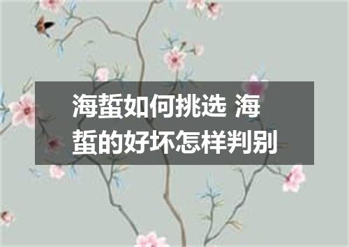 海蜇如何挑选 海蜇的好坏怎样判别