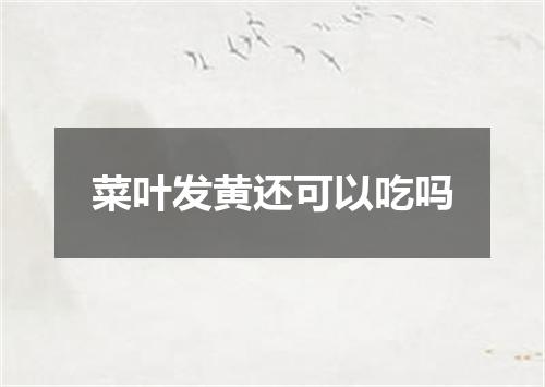 菜叶发黄还可以吃吗