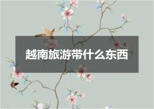 越南旅游带什么东西