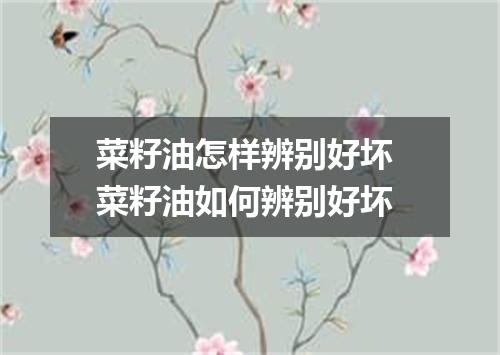 菜籽油怎样辨别好坏 菜籽油如何辨别好坏