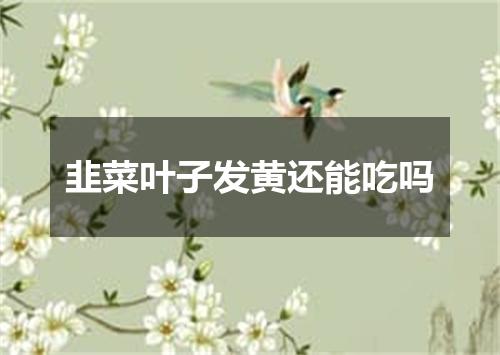 韭菜叶子发黄还能吃吗