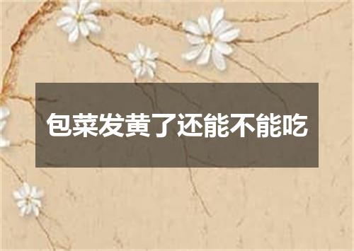 包菜发黄了还能不能吃