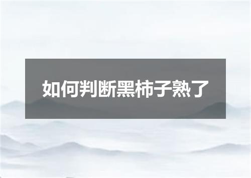 如何判断黑柿子熟了