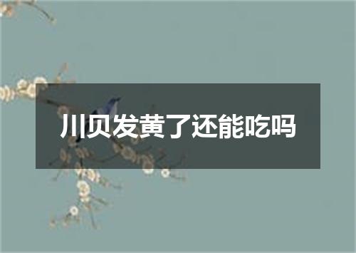 川贝发黄了还能吃吗