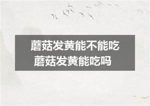 蘑菇发黄能不能吃 蘑菇发黄能吃吗