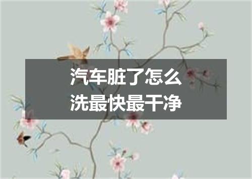 汽车脏了怎么洗最快最干净