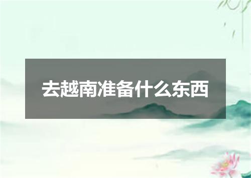 去越南准备什么东西