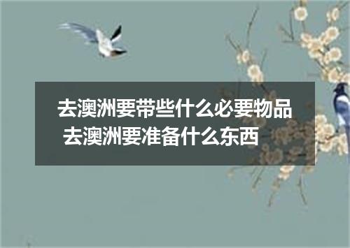 去澳洲要带些什么必要物品 去澳洲要准备什么东西