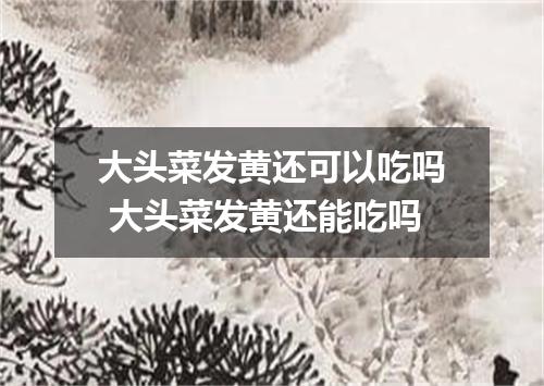 大头菜发黄还可以吃吗 大头菜发黄还能吃吗