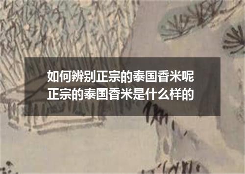 如何辨别正宗的泰国香米呢 正宗的泰国香米是什么样的