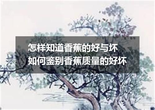 怎样知道香蕉的好与坏 如何鉴别香蕉质量的好坏