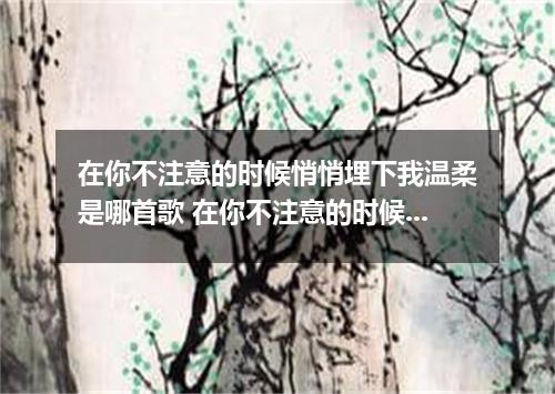 在你不注意的时候悄悄埋下我温柔是哪首歌 在你不注意的时候悄悄埋下我温柔是什么歌