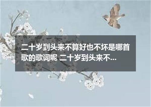 二十岁到头来不算好也不坏是哪首歌的歌词呢 二十岁到头来不算好也不坏是什么歌