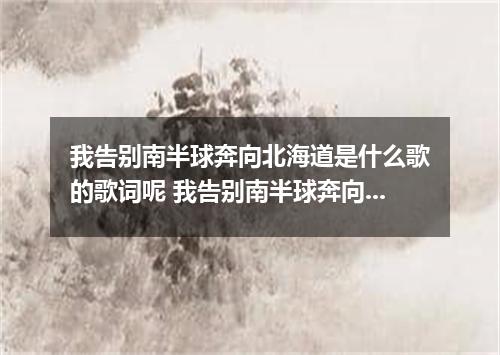 我告别南半球奔向北海道是什么歌的歌词呢 我告别南半球奔向北海道是什么歌