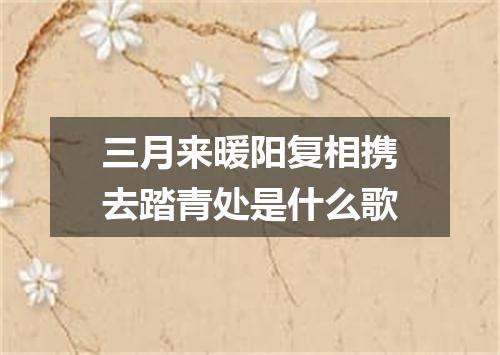 三月来暖阳复相携去踏青处是什么歌