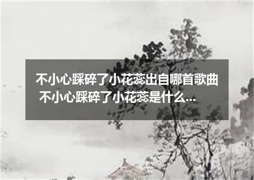 不小心踩碎了小花蕊出自哪首歌曲 不小心踩碎了小花蕊是什么歌