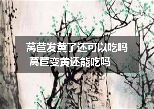莴苣发黄了还可以吃吗 莴苣变黄还能吃吗