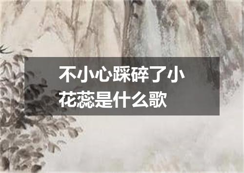 不小心踩碎了小花蕊是什么歌