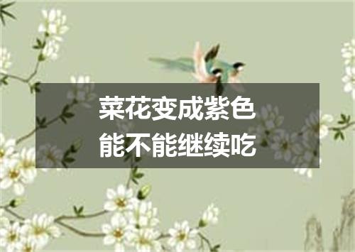 菜花变成紫色能不能继续吃