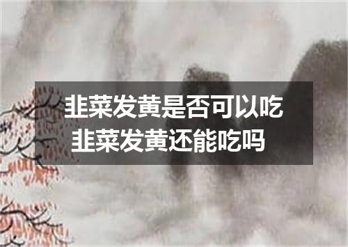 韭菜发黄是否可以吃 韭菜发黄还能吃吗