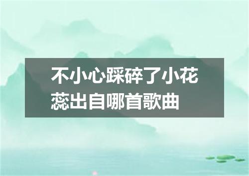 不小心踩碎了小花蕊出自哪首歌曲