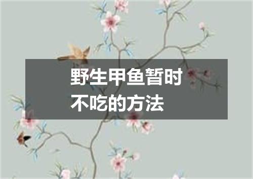 野生甲鱼暂时不吃的方法