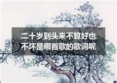 二十岁到头来不算好也不坏是哪首歌的歌词呢