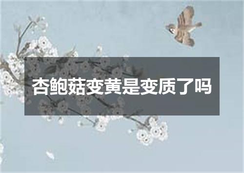 杏鲍菇变黄是变质了吗