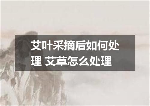 艾叶采摘后如何处理 艾草怎么处理