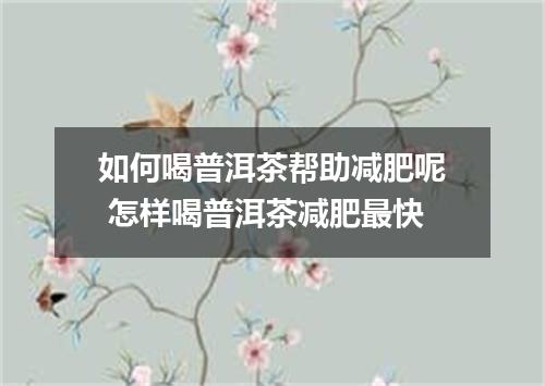 如何喝普洱茶帮助减肥呢 怎样喝普洱茶减肥最快