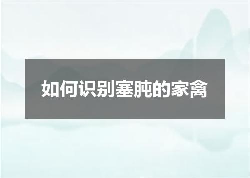 如何识别塞肫的家禽