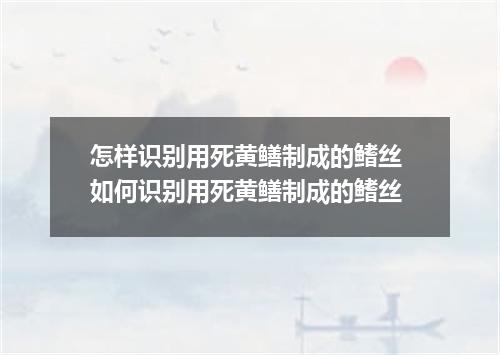 怎样识别用死黄鳝制成的鳍丝 如何识别用死黄鳝制成的鳍丝
