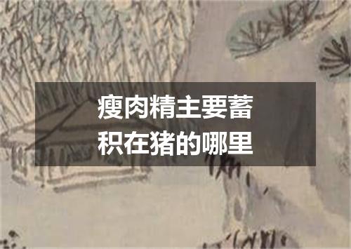 瘦肉精主要蓄积在猪的哪里