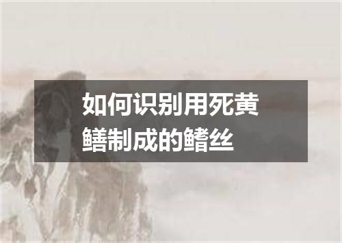 如何识别用死黄鳝制成的鳍丝
