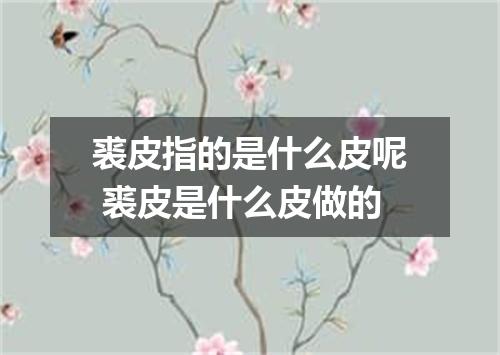 裘皮指的是什么皮呢 裘皮是什么皮做的