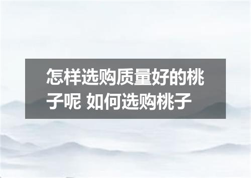 怎样选购质量好的桃子呢 如何选购桃子