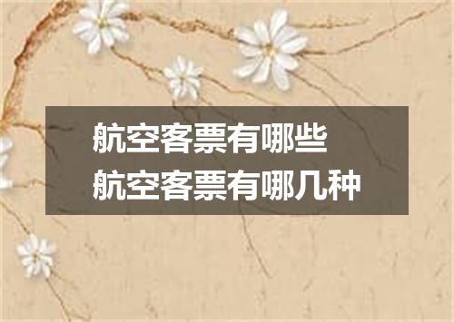 航空客票有哪些 航空客票有哪几种