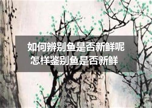 如何辨别鱼是否新鲜呢 怎样鉴别鱼是否新鲜